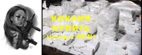 индика Аркадак
