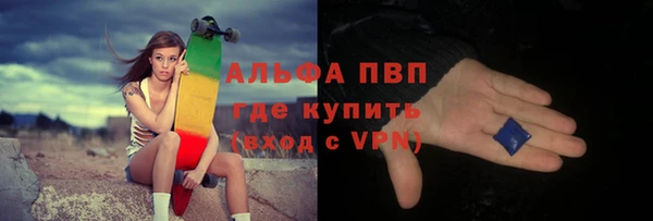 индика Аркадак