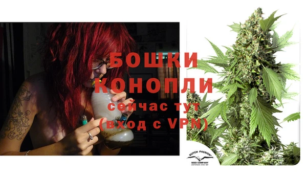 индика Аркадак