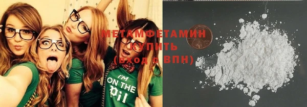 прущие грибы Мегион
