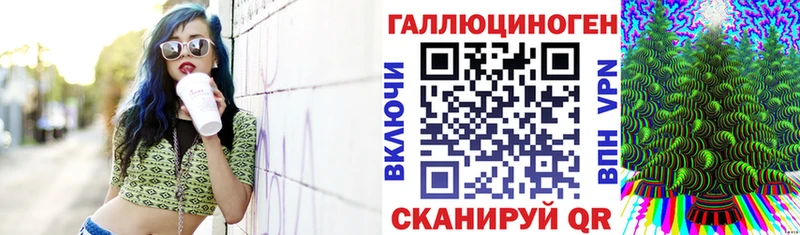 ссылка на мегу как зайти  Мышкин  Галлюциногенные грибы Psilocybine cubensis 